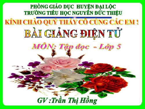 Tuần 29. Một vụ đắm tàu