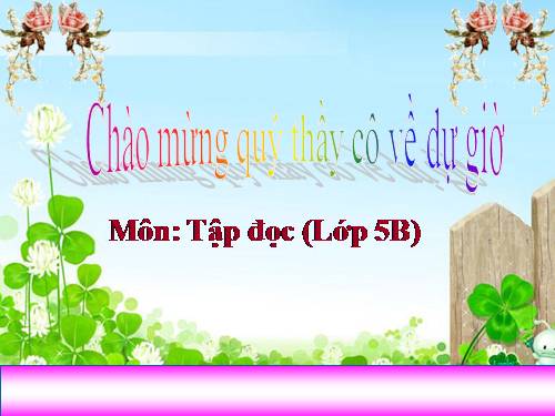 Tuần 9. Đất Cà Mau