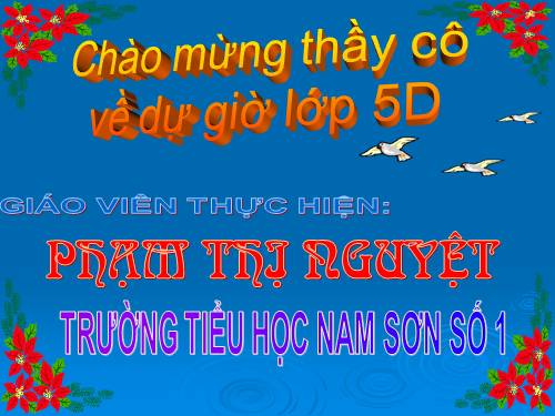 Tuần 13. Người gác rừng tí hon