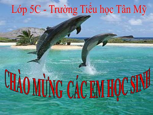 Tuần 7. Những người bạn tốt