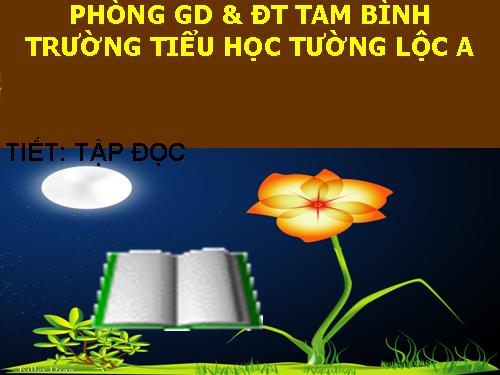 Tuần 12. Mùa thảo quả