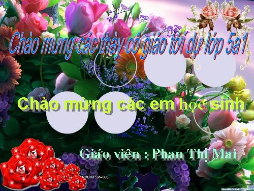 Tuần 11. Chuyện một khu vườn nhỏ