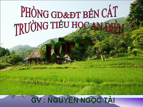 Tuần 11. Chuyện một khu vườn nhỏ