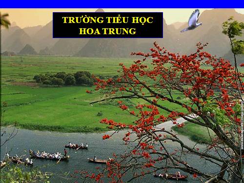 Tuần 9. Cái gì quý nhất?