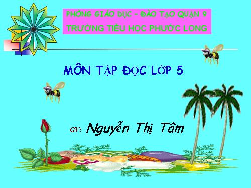 Tuần 25. Phong cảnh đền Hùng