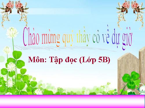 Tuần 9. Đất Cà Mau