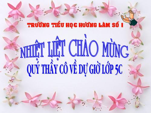 Tuần 11. Chuyện một khu vườn nhỏ