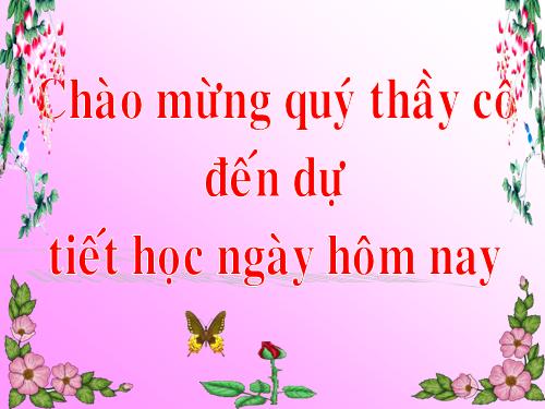 Tuần 23. Chú đi tuần