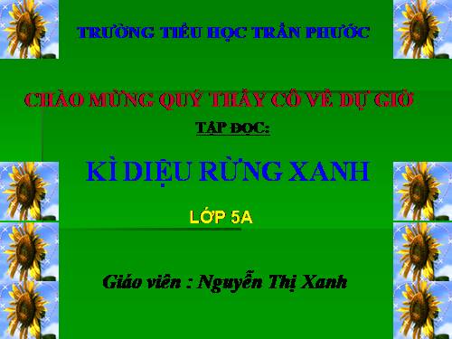 Tuần 8. Kì diệu rừng xanh