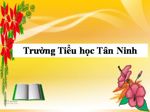 Tuần 8. Kì diệu rừng xanh