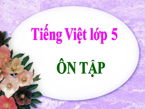 Bài ôn tập