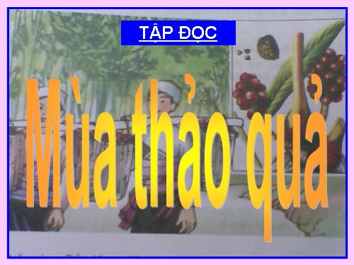 Tuần 12. Mùa thảo quả