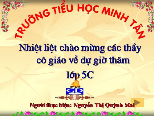 Tuần 13. Người gác rừng tí hon