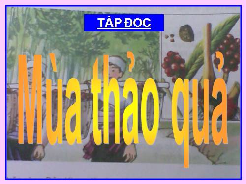 Tuần 12. Mùa thảo quả