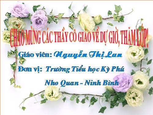 Tuần 11. Tiếng vọng