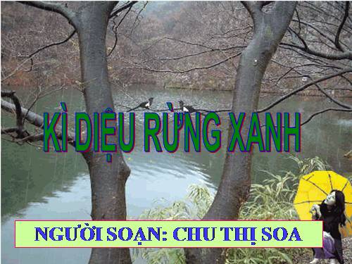 Tuần 8. Kì diệu rừng xanh