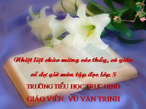 Tuần 11. Tiếng vọng