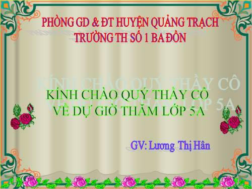 Tuần 32. Út Vịnh