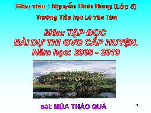 Tuần 11. Tiếng vọng