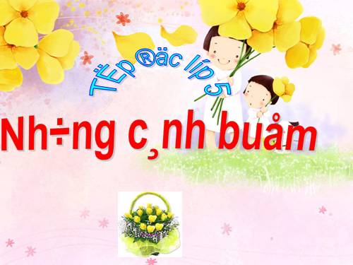 Tuần 32. Những cánh buồm