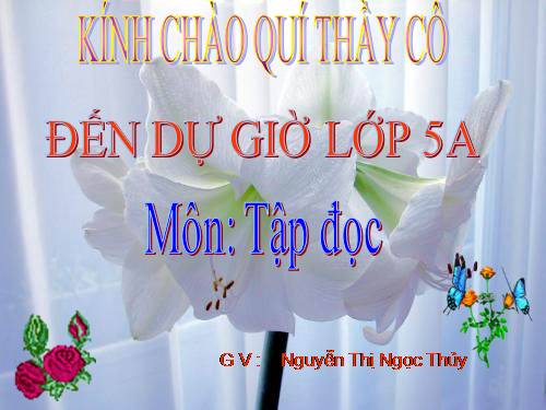Tuần 26. Nghĩa thầy trò