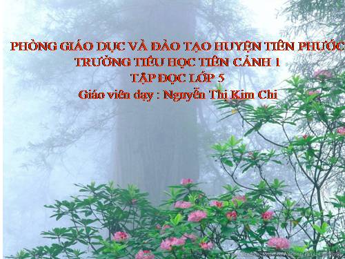 Tuần 8. Trước cổng trời