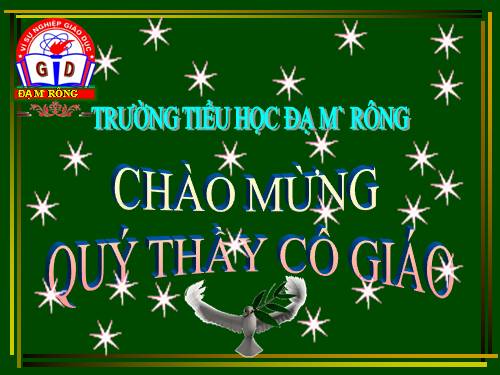 Tuần 13. Trồng rừng ngập mặn