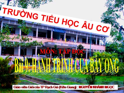 Tuần 12. Hành trình của bầy ong