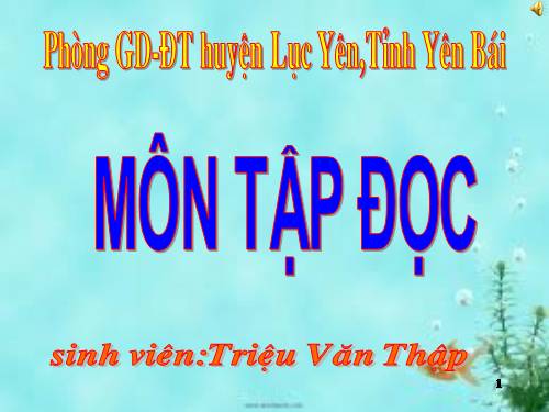 Tuần 32. Út Vịnh