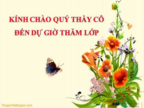 Tuần 25. Cửa sông