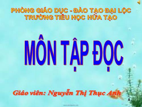 Tuần 32. Út Vịnh