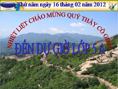 Tuần 13. Người gác rừng tí hon