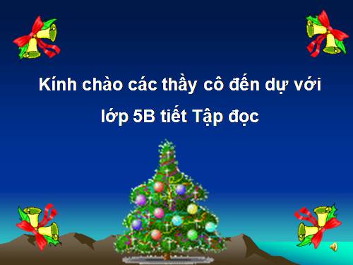 Tuần 12. Mùa thảo quả