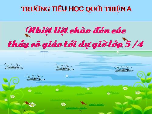 Tuần 12. Hành trình của bầy ong