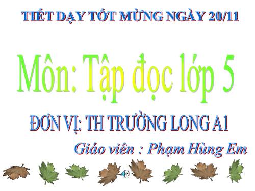 Tuần 13. Trồng rừng ngập mặn