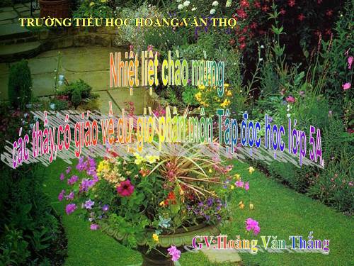 Tuần 11. Tiếng vọng