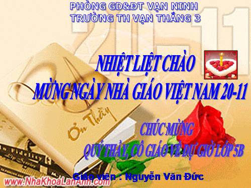 Tuần 12. Hành trình của bầy ong