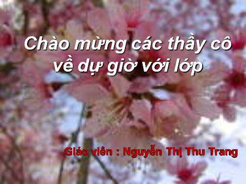 Tuần 13. Trồng rừng ngập mặn