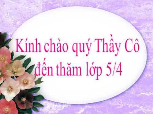 Tuần 13. Trồng rừng ngập mặn