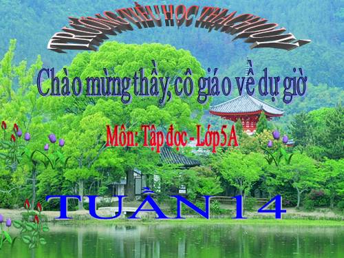 Tuần 14. Chuỗi ngọc lam