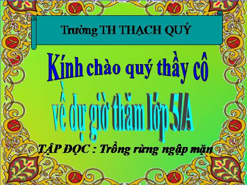 Tuần 13. Trồng rừng ngập mặn