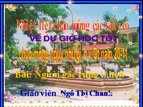 Tuần 13. Người gác rừng tí hon