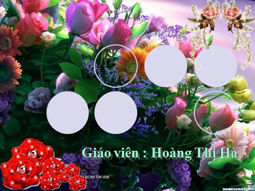 Tuần 12. Mùa thảo quả