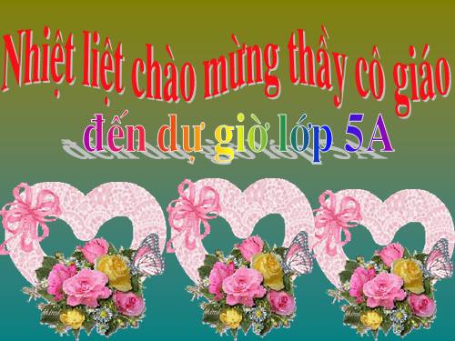 Tuần 9. Đất Cà Mau