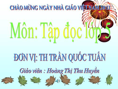 Tuần 13. Trồng rừng ngập mặn