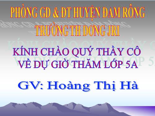 Tuần 11. Chuyện một khu vườn nhỏ