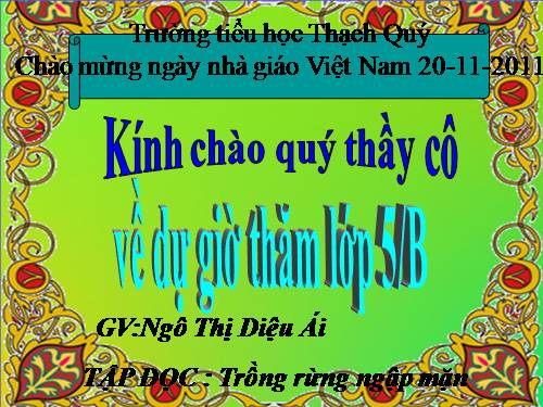 Tuần 13. Trồng rừng ngập mặn
