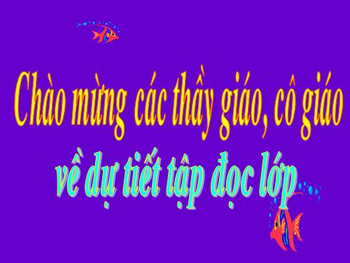 Tuần 12. Mùa thảo quả