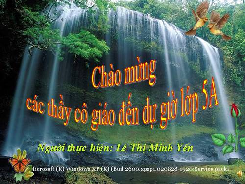Tuần 8. Kì diệu rừng xanh