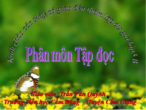 Tuần 12. Mùa thảo quả